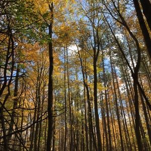 Meet your Posher, Lucy